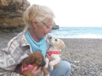 ein Bild aus dem Album